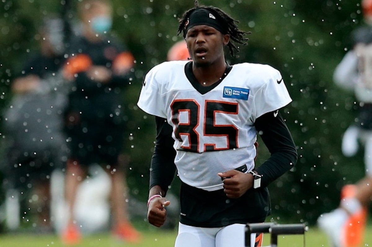 Tee Higgins